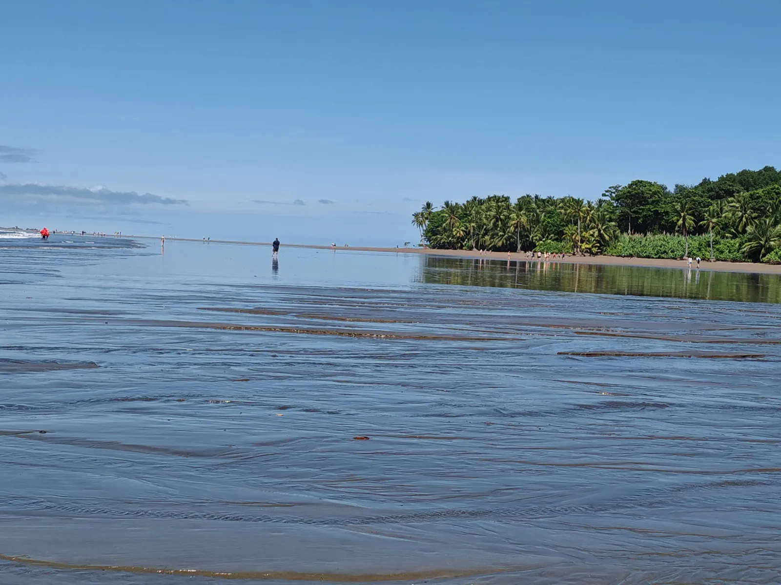 Caminar sobre la cola de ballena